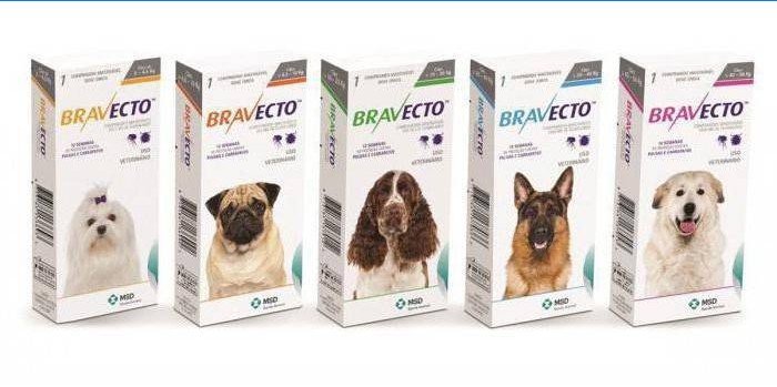 Embalagens de comprimidos para cães Bravecto