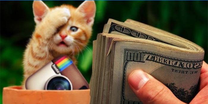 Gatinho, ícone do instagram e dinheiro na mão