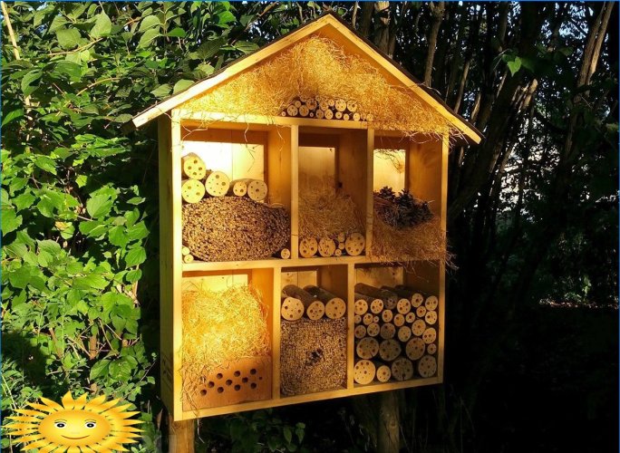 Casa para abelhas