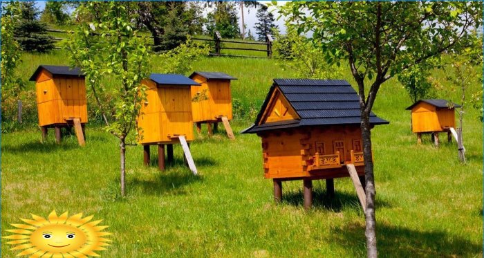 Casas de madeira para abelhas
