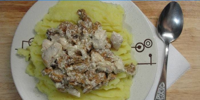 Prato de frango com cogumelos em creme de leite e purê de batatas