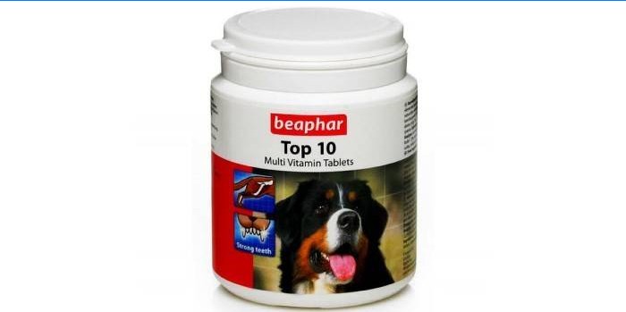 Beaphar TOP 10 tabletes de vitaminas múltiplas
