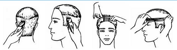 Esquema detalhado de criação de corte de cabelo de boxe