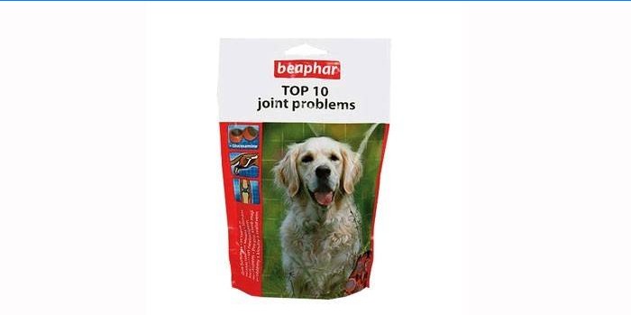 Vitaminas para cães Beaphar Top 10 problemas comuns