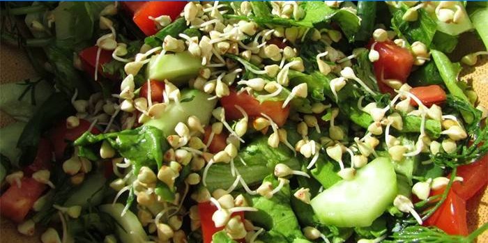Salada com grãos germinados de trigo sarraceno verde