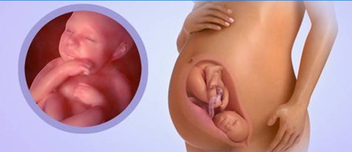 Bebê com 39 semanas de gravidez