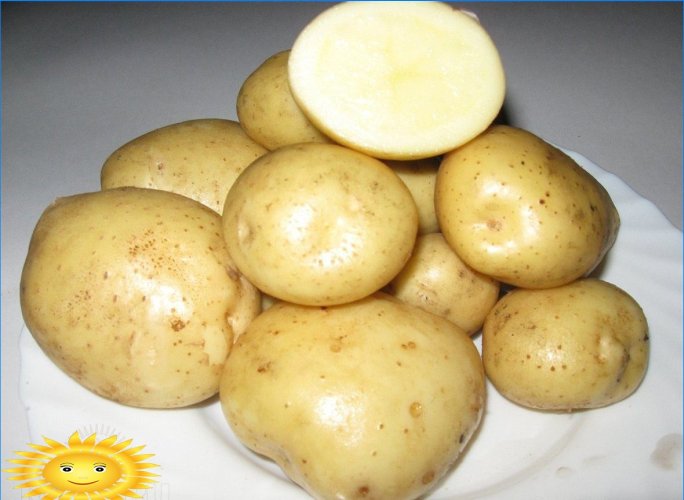 Batatas Adretta