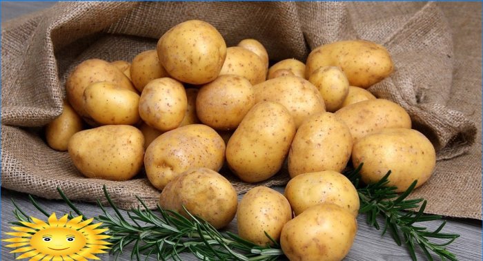Batatas de gala