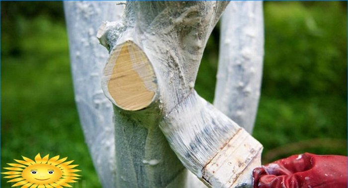 Caiar troncos de árvores em um terreno no jardim - benefícios e características