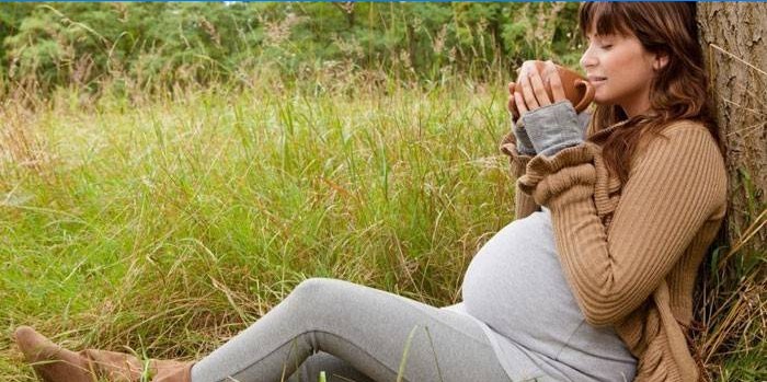 Mulher grávida bebe chá na natureza