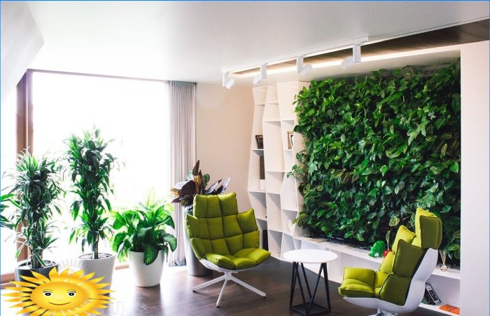 Parede ecológica - jardim vertical no apartamento
