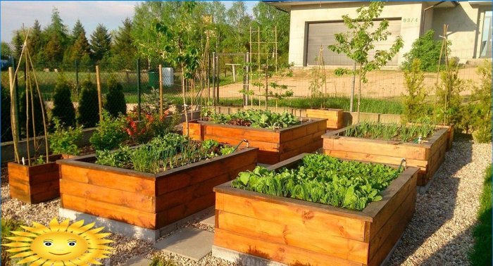 DIY levantou ideias de jardim