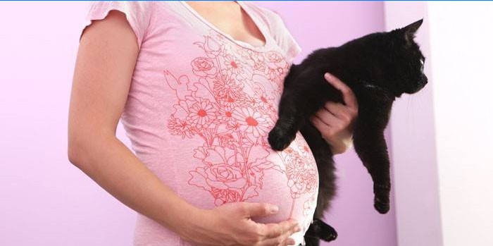 Menina grávida com gato
