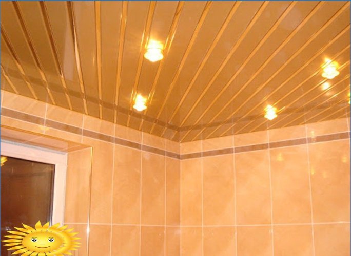 Opções de design de teto no banheiro
