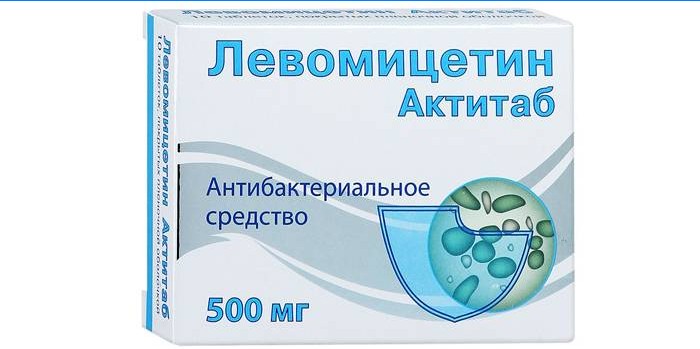 Levomycetin antibiótico