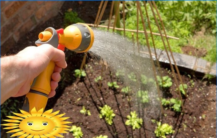 Sistema de irrigação automática de jardim