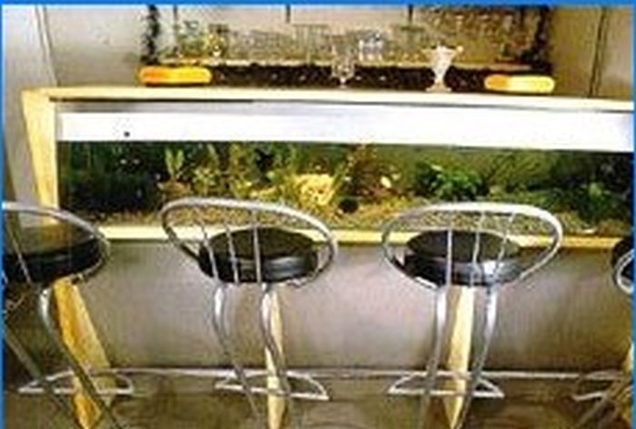 Tipos de aquários domésticos