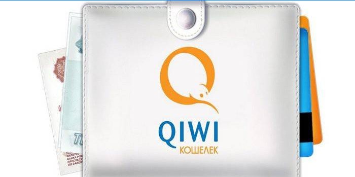 Carteira de logotipo Qiwi com dinheiro e cartões