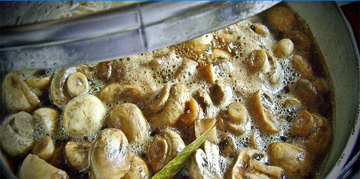 Champignon em uma marinada com alho e pimenta em uma panela