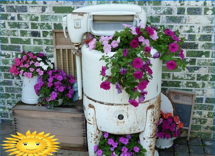 Canteiro de flores em uma velha máquina de lavar
