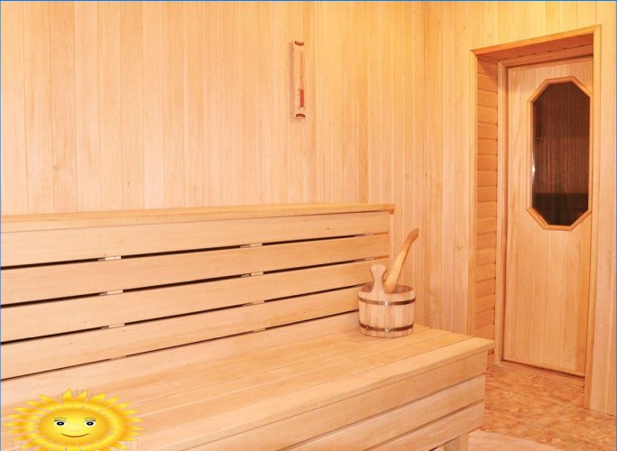 Portas para banhos, saunas, banhos turcos: requisitos, características, acessórios
