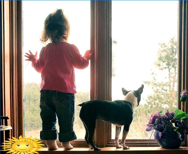 Proteção de janela para crianças e animais de estimação