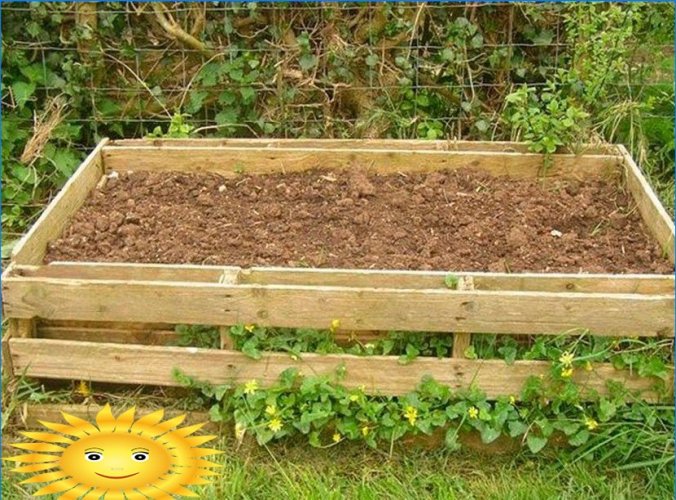 8 maneiras de cultivar batatas sem cavar em seu jardim