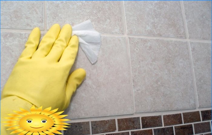 Limpeza geral: como limpar rapidamente um apartamento