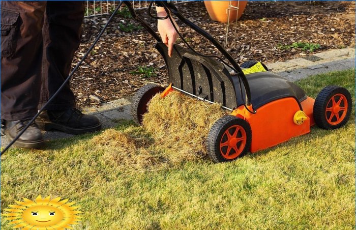 Como escarificar corretamente seu gramado
